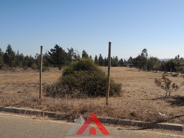 Imagen 12