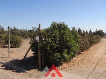 Imagen 14