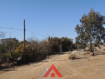 Imagen 19