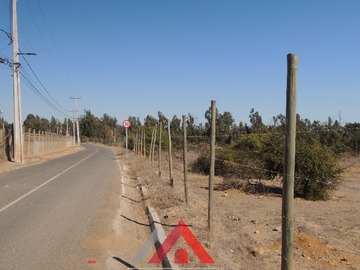 Imagen 11