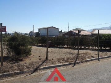 Imagen 9