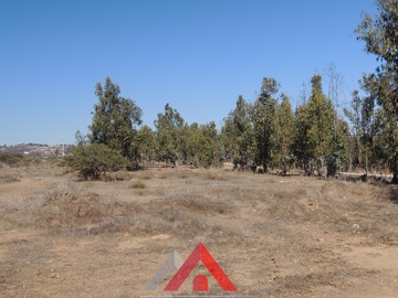 Imagen 20