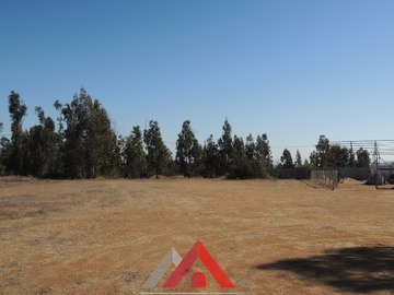 Imagen 16