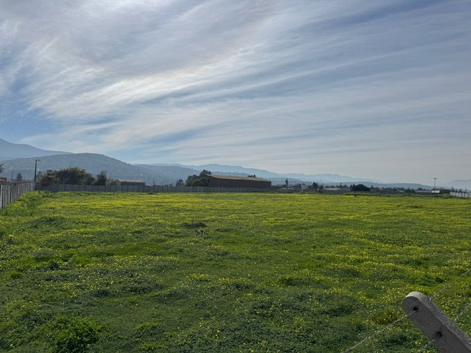 terreno