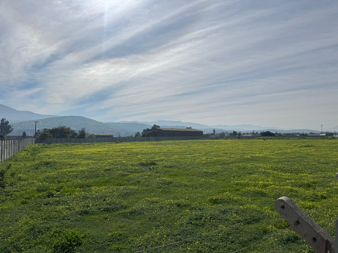terreno