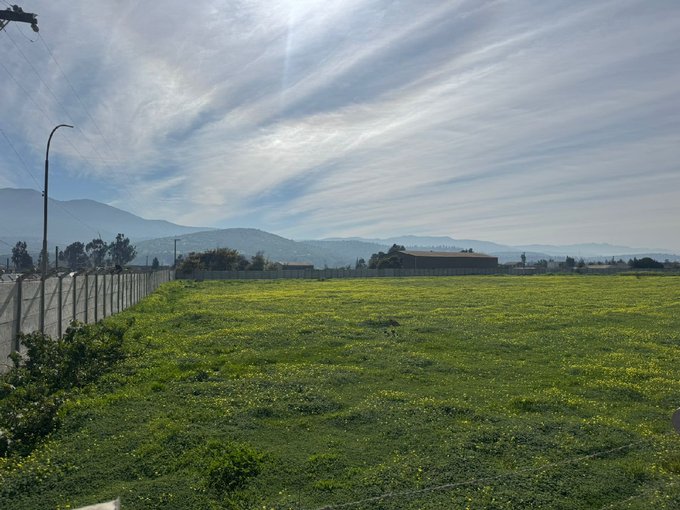 terrreno