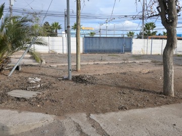 Imagen 15