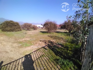 Imagen 7