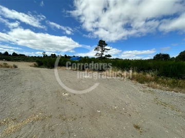 Imagen 7