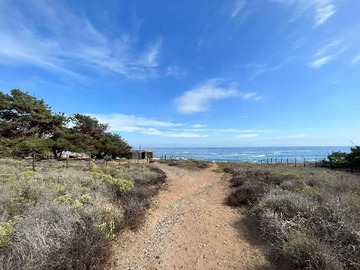 Venta / Terreno Industrial / La Ligua