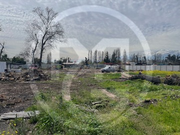 Imagen 10
