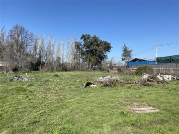 Imagen 5