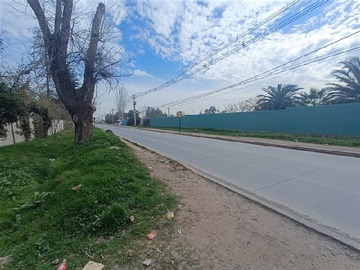 Imagen 12