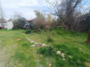Imagen 9