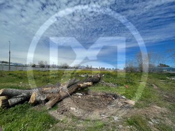 Imagen 12