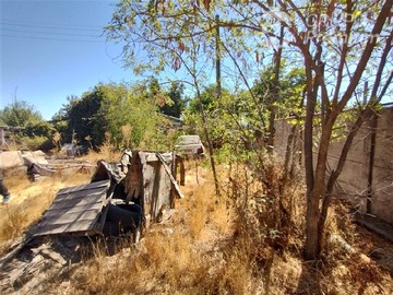 Imagen 5