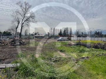 Imagen 21