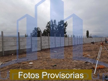 Imagen 6