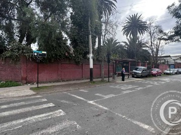 Imagen 7