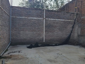 Imagen 5
