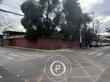 Imagen 4