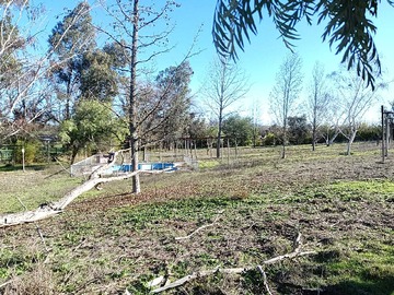 Imagen 17