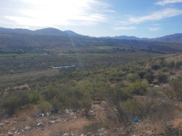 Imagen 6