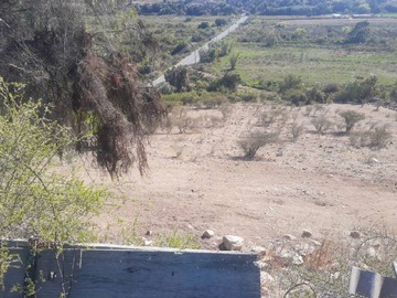 Imagen 22