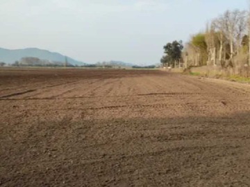 Venta / Terreno Industrial / Peñaflor