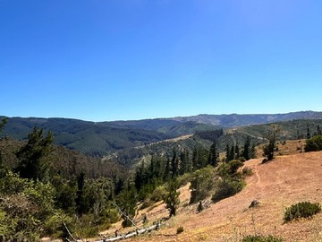 Venta / Terreno Industrial / Pichilemu