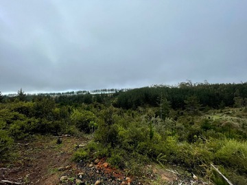 Venta / Terreno Industrial / Pichilemu