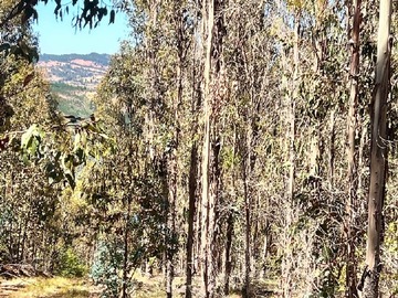 Venta / Terreno Industrial / Pichilemu