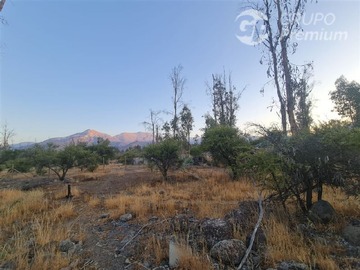 Imagen 8