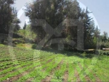 Imagen 9