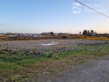 Imagen 9