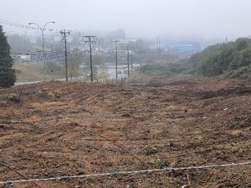 Imagen 14