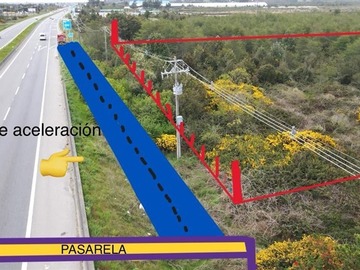 Imagen 11