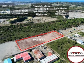 Imagen 13