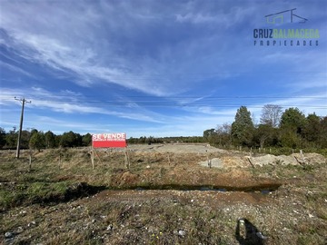 Imagen 11