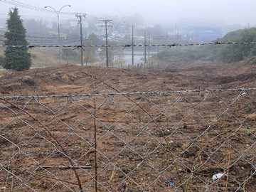 Imagen 11