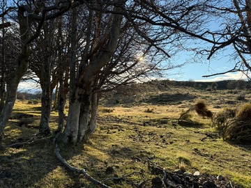 Imagen 12