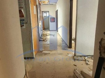 Imagen 15