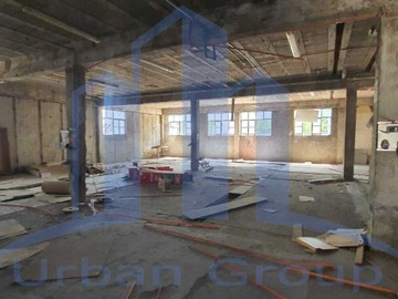Imagen 5