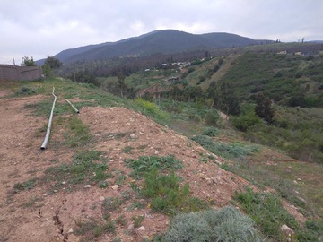 Venta / Terreno Industrial / Quintero