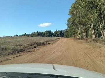 Venta / Terreno Industrial / Quintero