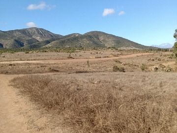 Venta / Terreno Industrial / Quintero