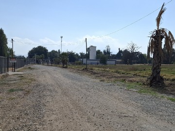 Imagen 5