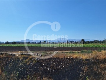 Imagen 24