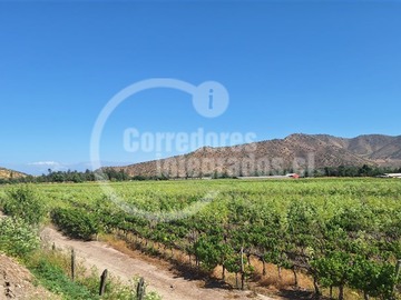 Imagen 19