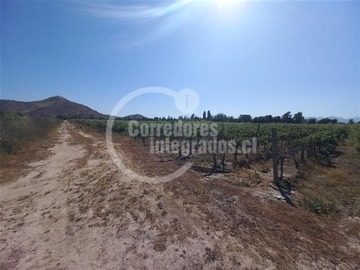Imagen 13